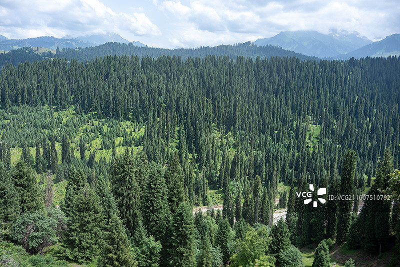 新疆伊犁库尔德宁4A风景区图片素材