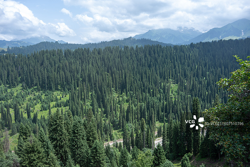 新疆伊犁库尔德宁4A风景区图片素材