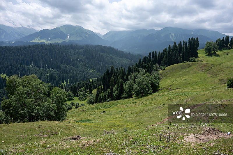 新疆伊犁库尔德宁4A风景区图片素材