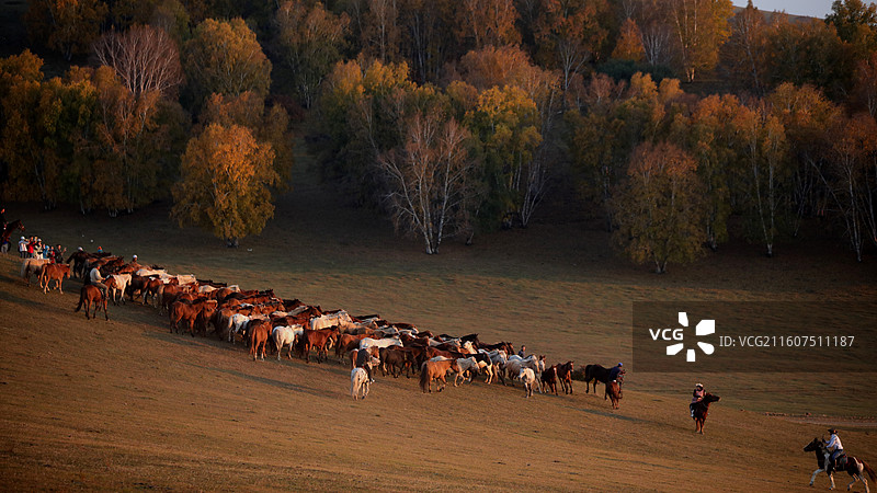 坝上秋色图片素材