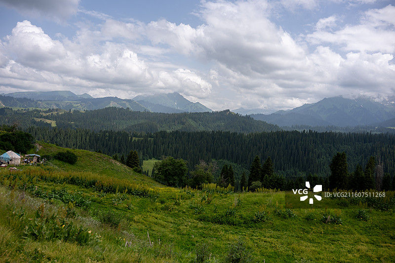 新疆伊犁库尔德宁4A风景区图片素材