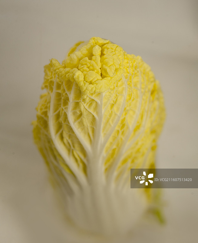 白菜图片素材