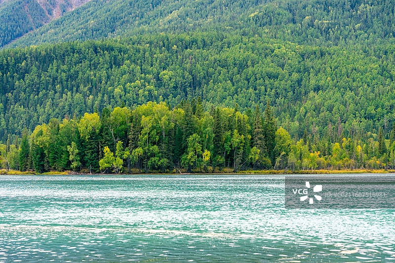 新疆阿勒泰的喀纳斯景区的风景，阳光下的喀纳斯神仙湾、月亮湾、卧龙湾景色绝美，森林茂密，河水清澈图片素材