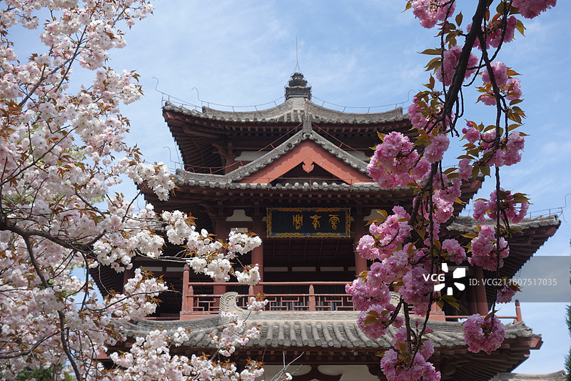 陕西省西安市青龙寺赏樱赏花：云峰阁关山樱花图片素材