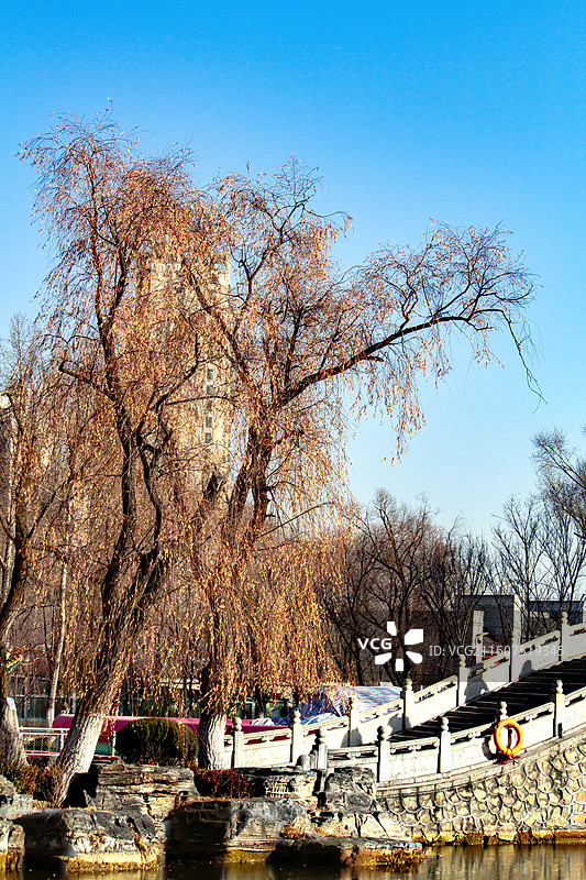 西宁人民公园图片素材