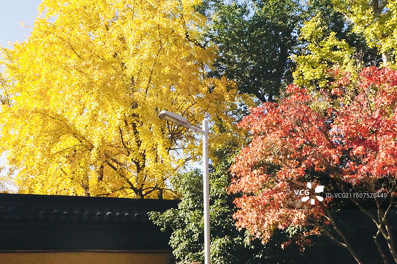 苏州的秋图片素材