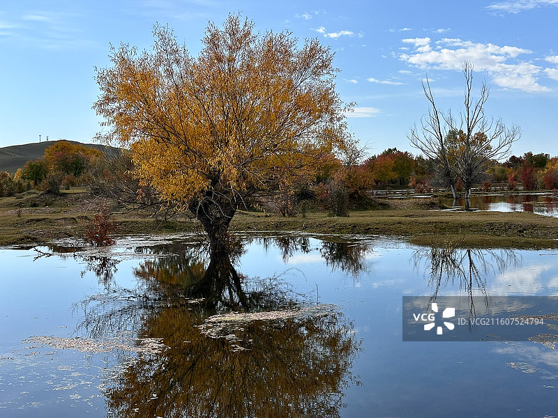 内蒙古呼伦贝尔黑山头海拉尔河湿地风光图片素材