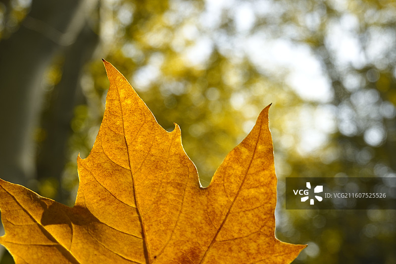 南京旅行图片素材