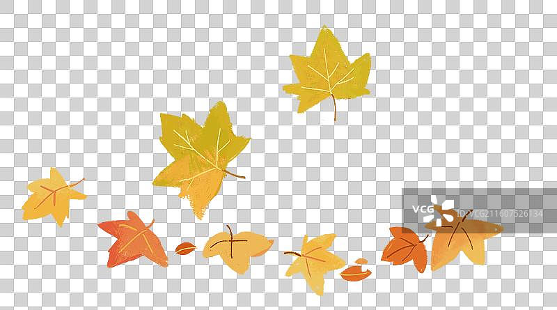 秋天黄色的落叶梧桐叶肌理插画图片素材
