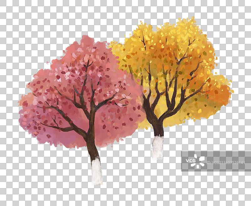 秋天两棵树枫树梧桐树肌理插画图片素材