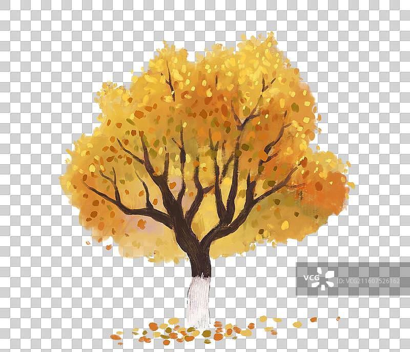 秋天的金黄的树梧桐树肌理插画图片素材