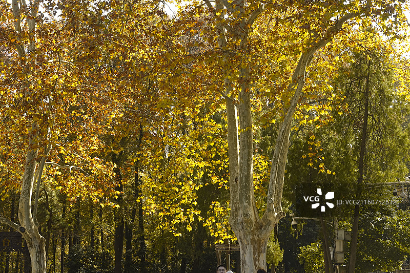 南京旅行图片素材