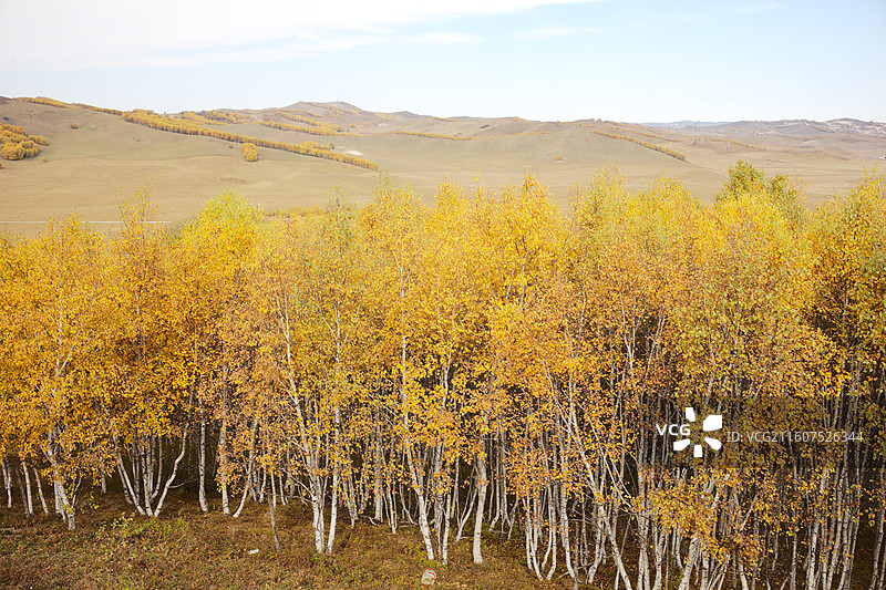 赤峰乌兰布统秋天景色图片素材