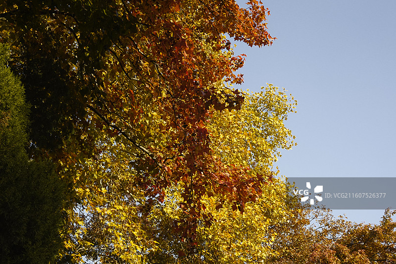 南京旅行图片素材