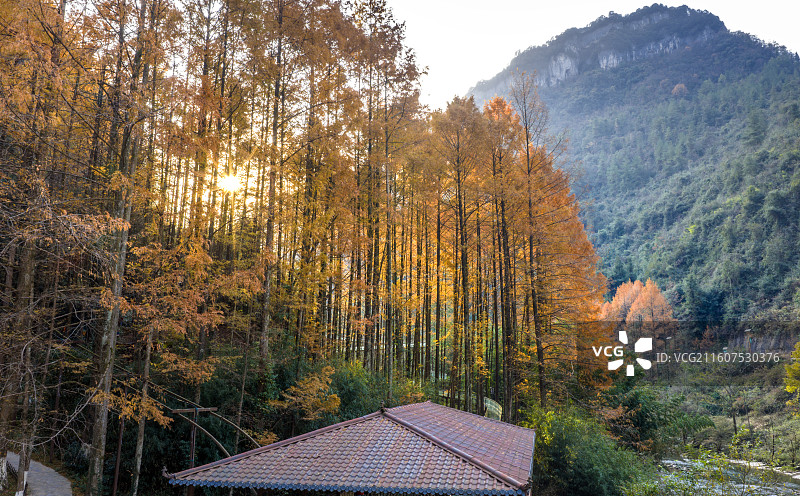 世界地质公园利川腾龙洞秋意浓图片素材