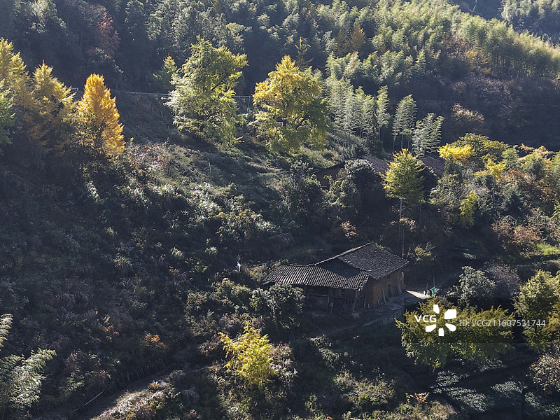 初冬的闽北山区政和县大岭村图片素材