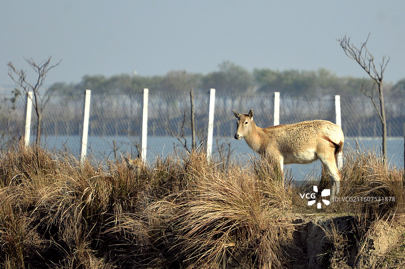 盐城行摄图片素材