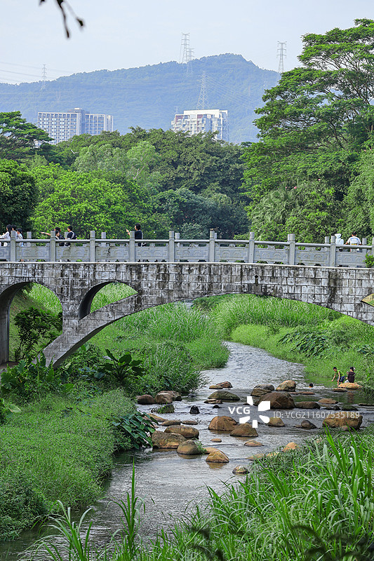 深圳中心公园湖泊图片素材