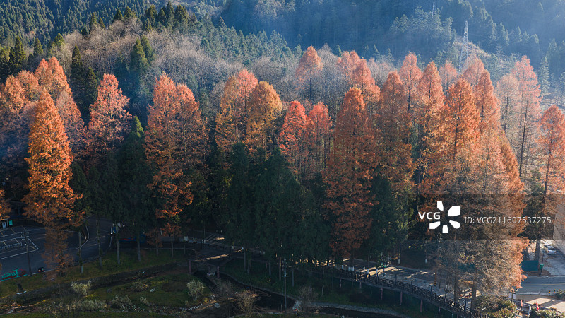 湖北恩施（咸丰）坪坝营国家森林公园初冬风光图片素材