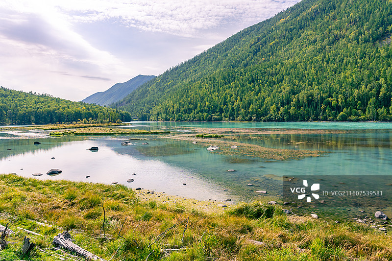 新疆阿勒泰的喀纳斯景区的风景，阳光下的喀纳斯神仙湾、月亮湾、卧龙湾景色绝美，森林茂密，河水清澈图片素材