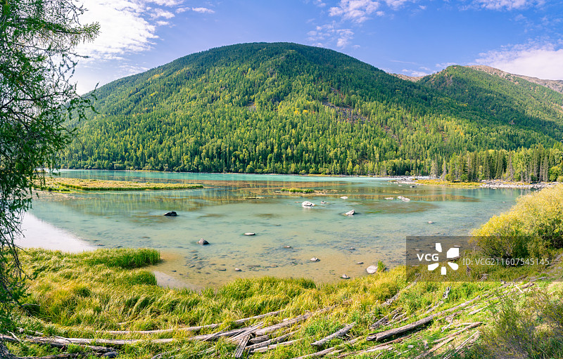 新疆阿勒泰的喀纳斯景区的风景，阳光下的喀纳斯神仙湾、月亮湾、卧龙湾景色绝美，森林茂密，河水清澈图片素材