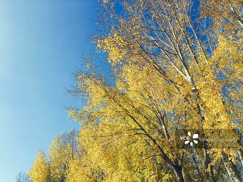 拉萨秋天风景图片素材