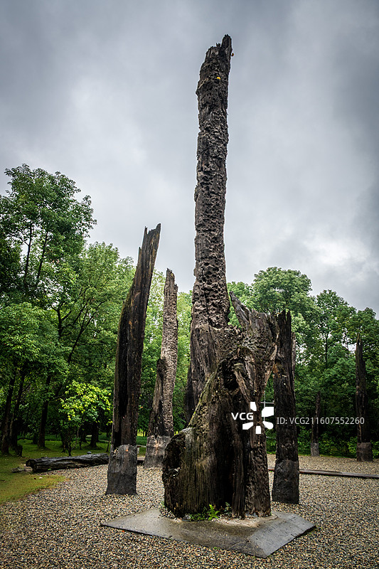 成都金沙遗址博物馆乌木林景区图片素材