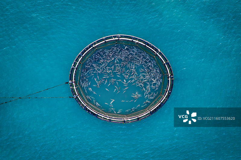 广东省珠海市万山群岛桂山岛深海养殖网箱图片素材