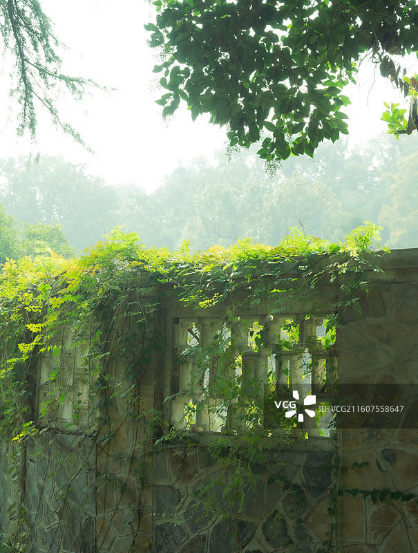 雨花台的夏秋之交图片素材