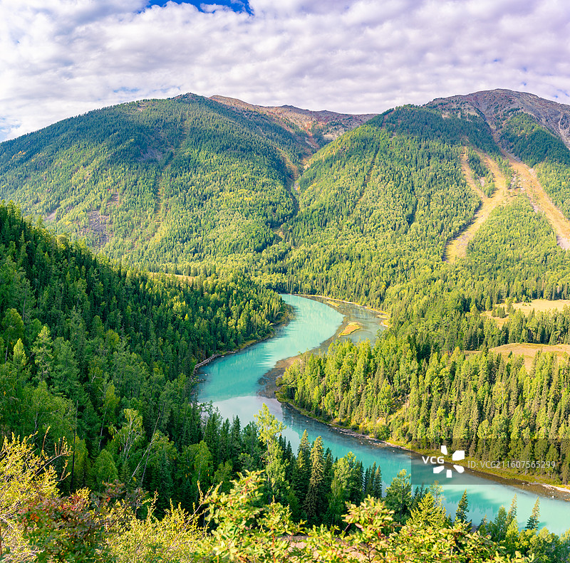 新疆阿勒泰的喀纳斯景区的风景，阳光下的喀纳斯神仙湾、月亮湾、卧龙湾景色绝美，森林茂密，河水清澈图片素材