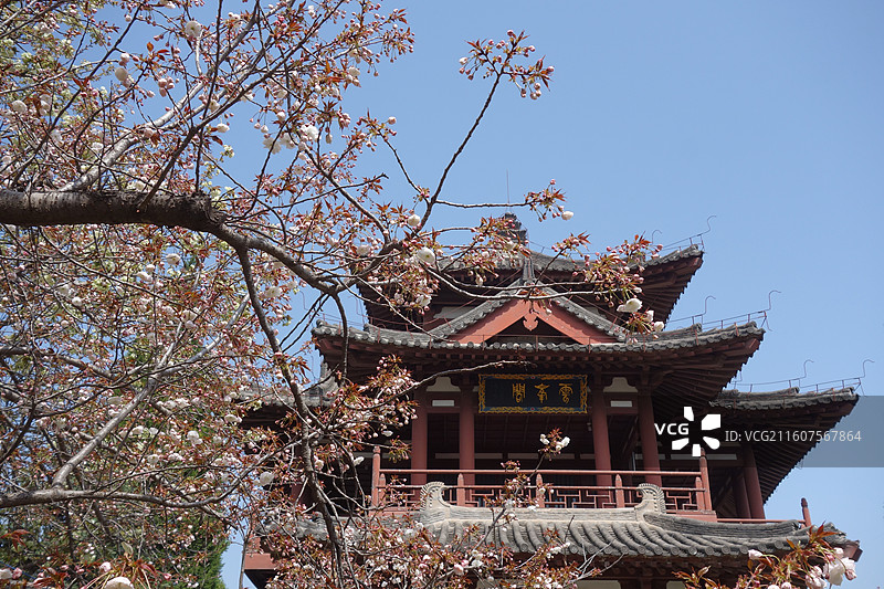 陕西省西安市青龙寺赏樱赏花：云峰阁樱花图片素材