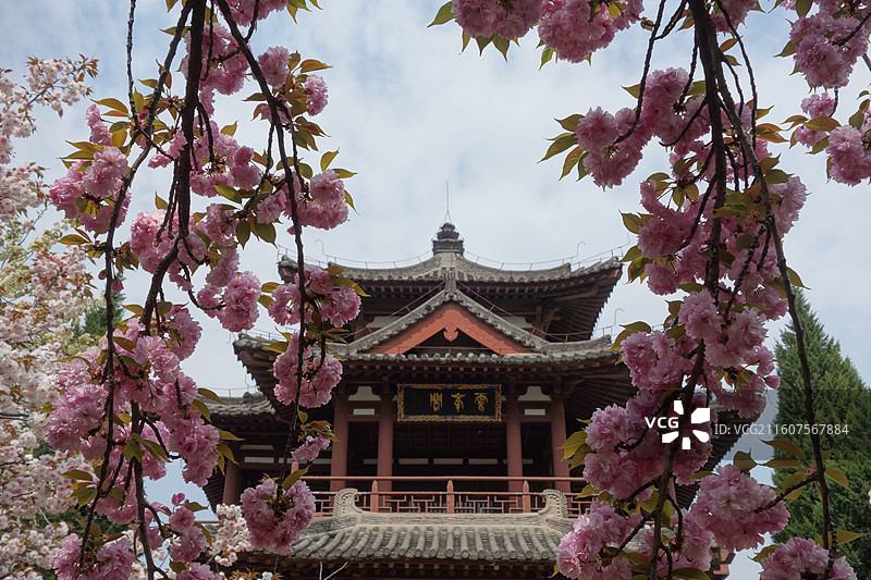 陕西省西安市青龙寺赏樱赏花：云峰阁关山樱花图片素材
