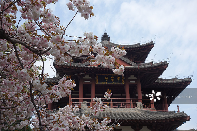 陕西省西安市青龙寺赏樱赏花：云峰阁普贤象樱花图片素材