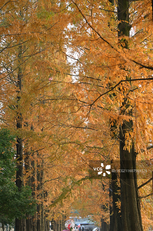 安靖蜀绣公园图片素材