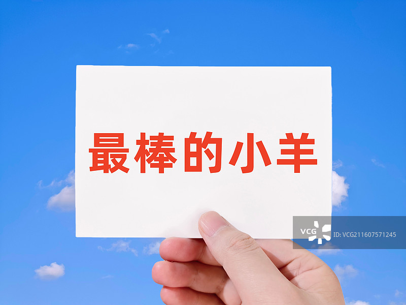 最棒的小羊（网络热词，网络流行语）图片素材