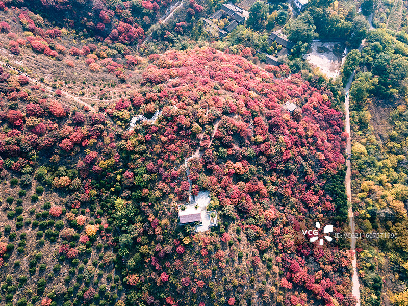 舞彩浅山秋景图片素材
