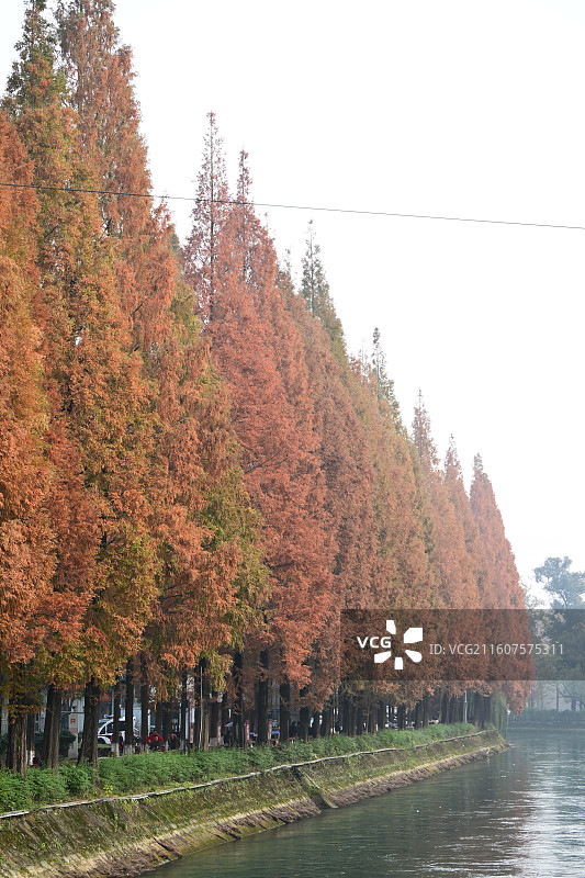 安靖蜀绣公园图片素材