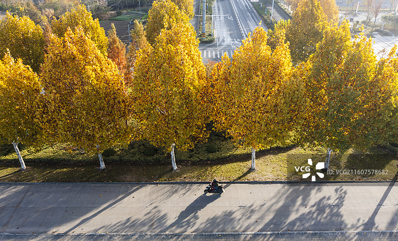 安徽省郎溪县秋色图片素材