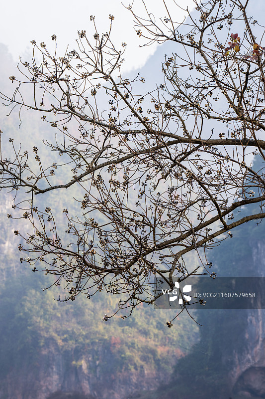 湖北恩施鳝孔坝湿地上空牧场冬日风景图片素材