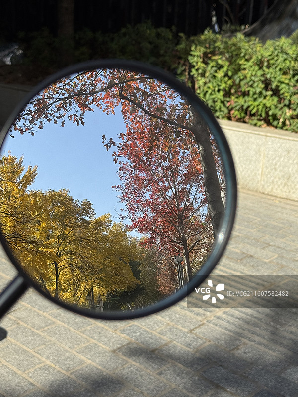 昙华林的秋图片素材