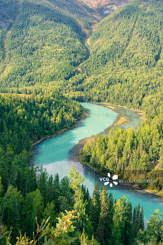 新疆阿勒泰的喀纳斯景区的风景，阳光下的喀纳斯神仙湾、月亮湾、卧龙湾景色绝美，森林茂密，河水清澈图片素材