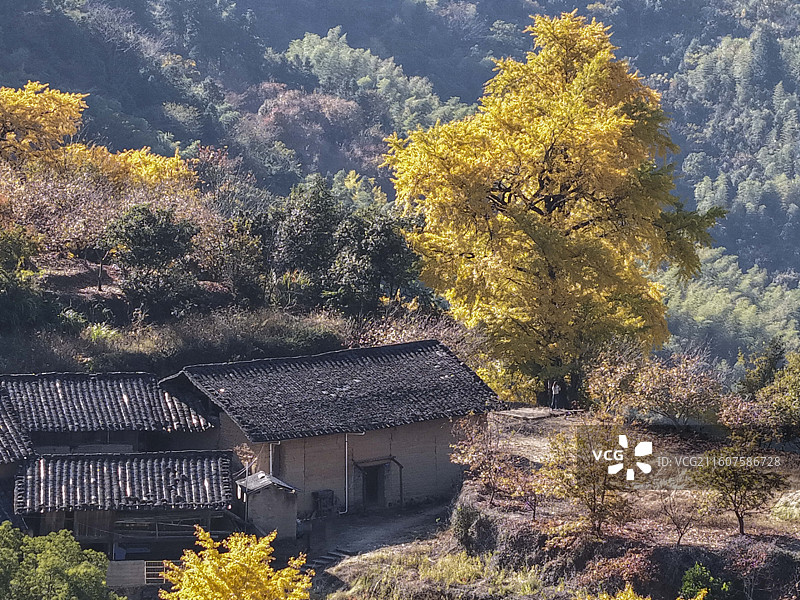初冬的闽北山区政和县大岭村图片素材