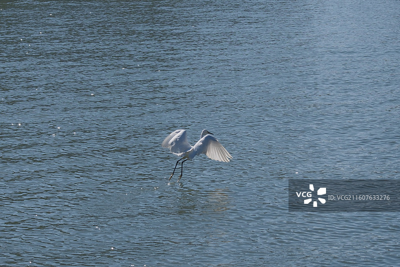 苏州护城河图片素材