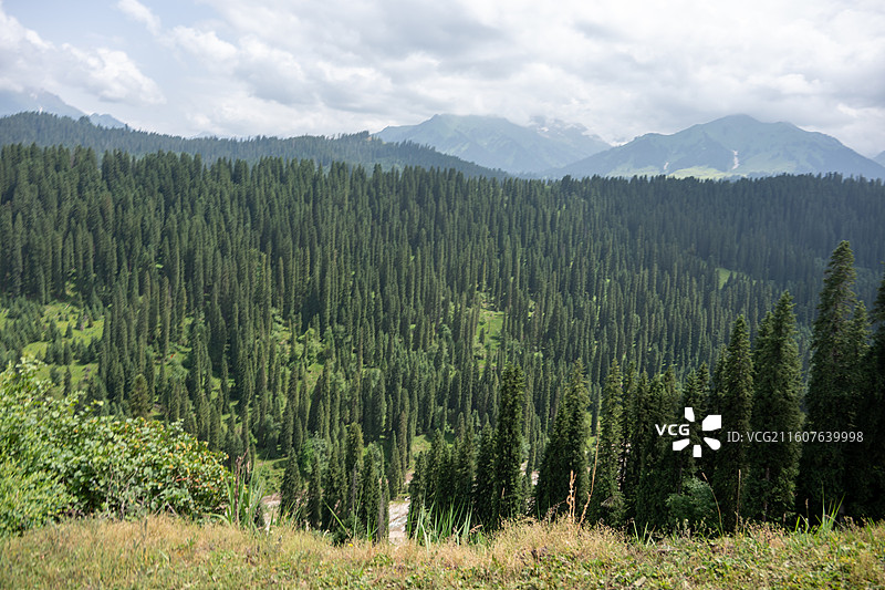 新疆伊犁库尔德宁4A风景区图片素材