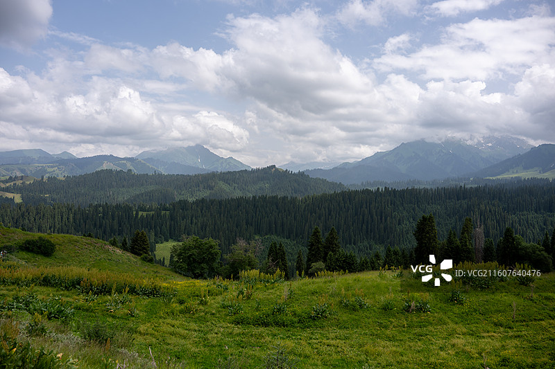 新疆伊犁库尔德宁4A风景区图片素材