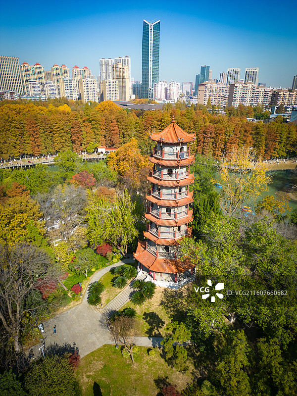 航拍秋日里武汉解放公园中华名塔园步月塔和远处的摩天大楼图片素材