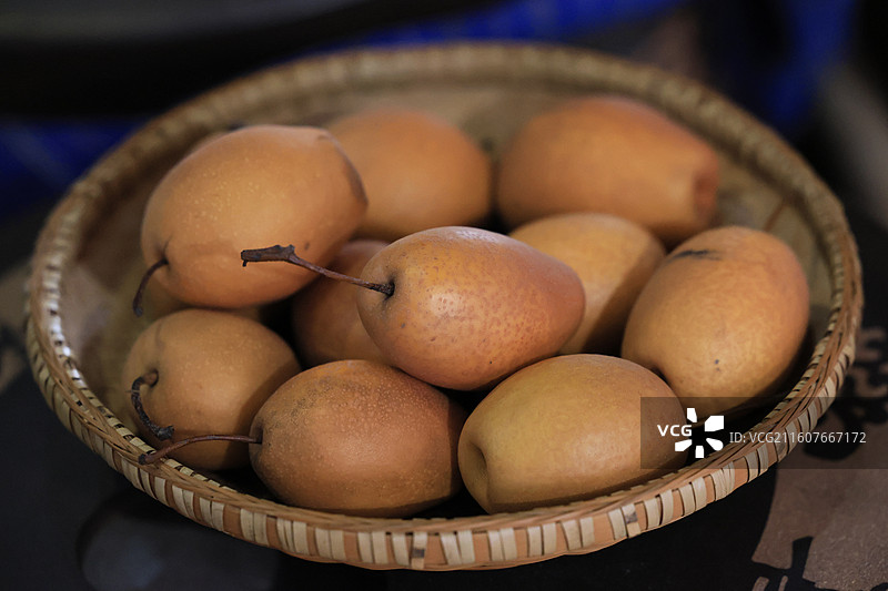 秋天树上的相思红豆特写图片素材