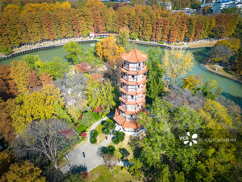 航拍秋日里的武汉解放公园中华名塔园步月塔图片素材