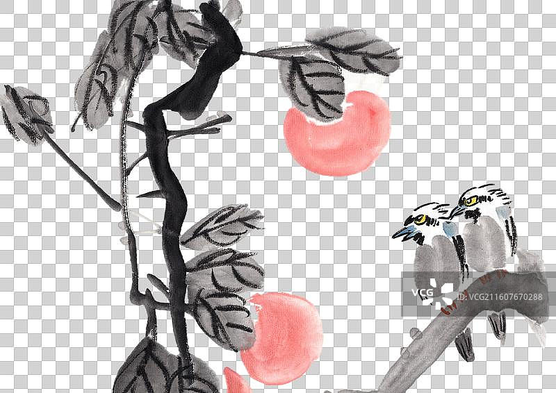 两只 鸟 爱情 一对 爱情鸟 鸟类图片素材