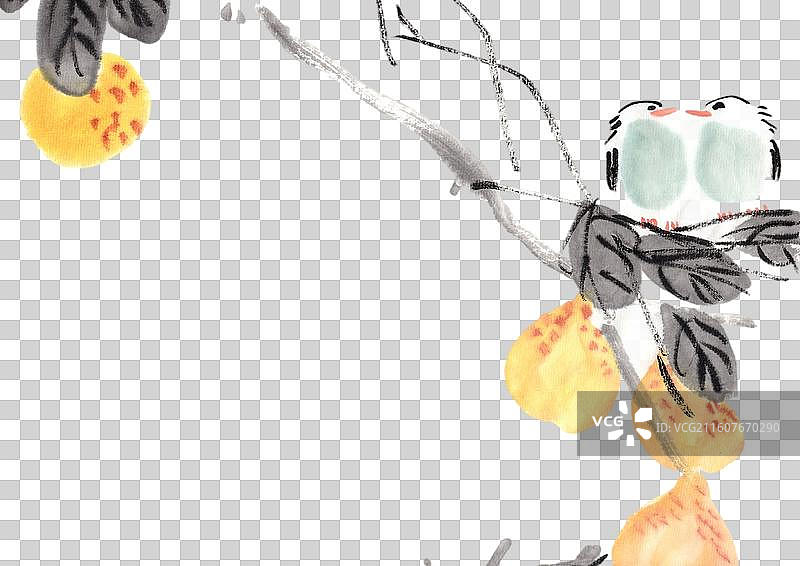 两只 鸟 爱情 一对 爱情鸟 鸟类图片素材